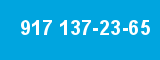 917 137-23-65